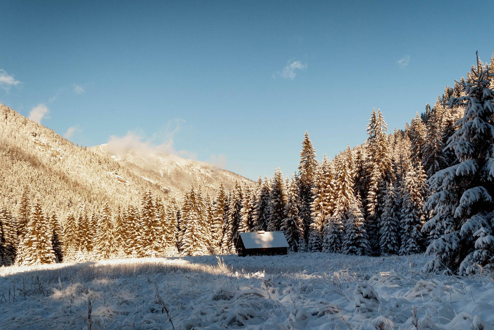 House In Forest Of Slovakia Background