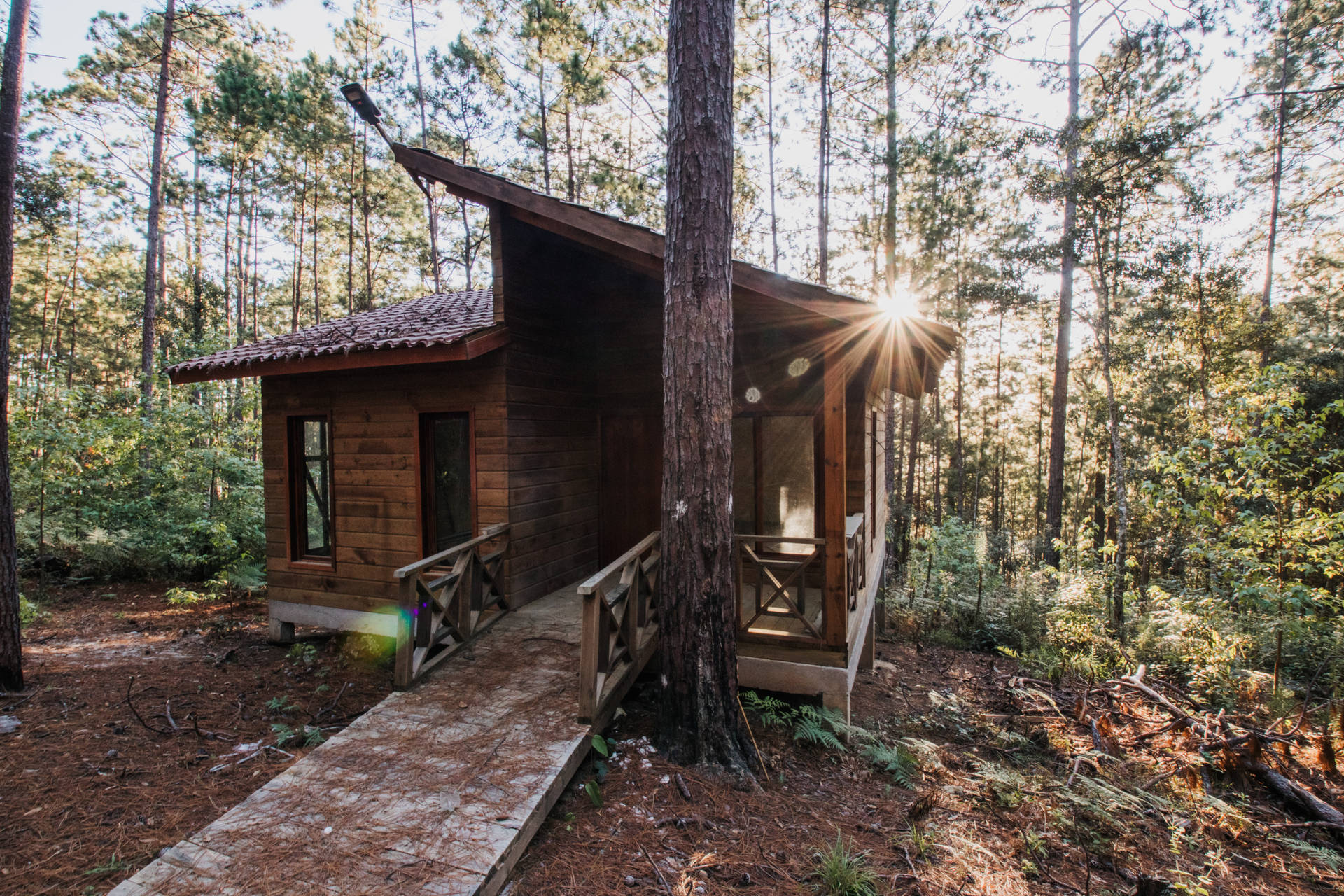 House In Honduras Forest Background