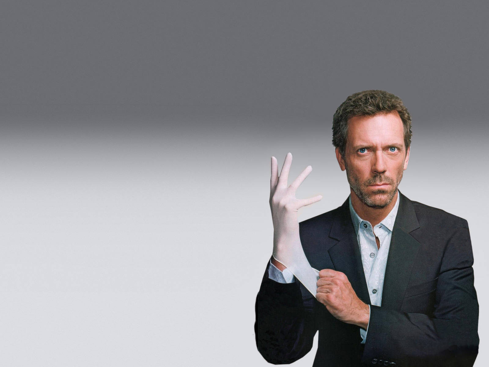 House Md Gloves Background