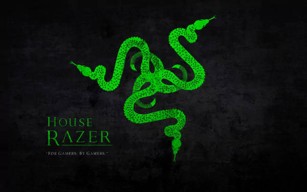 House Razer 4k Background