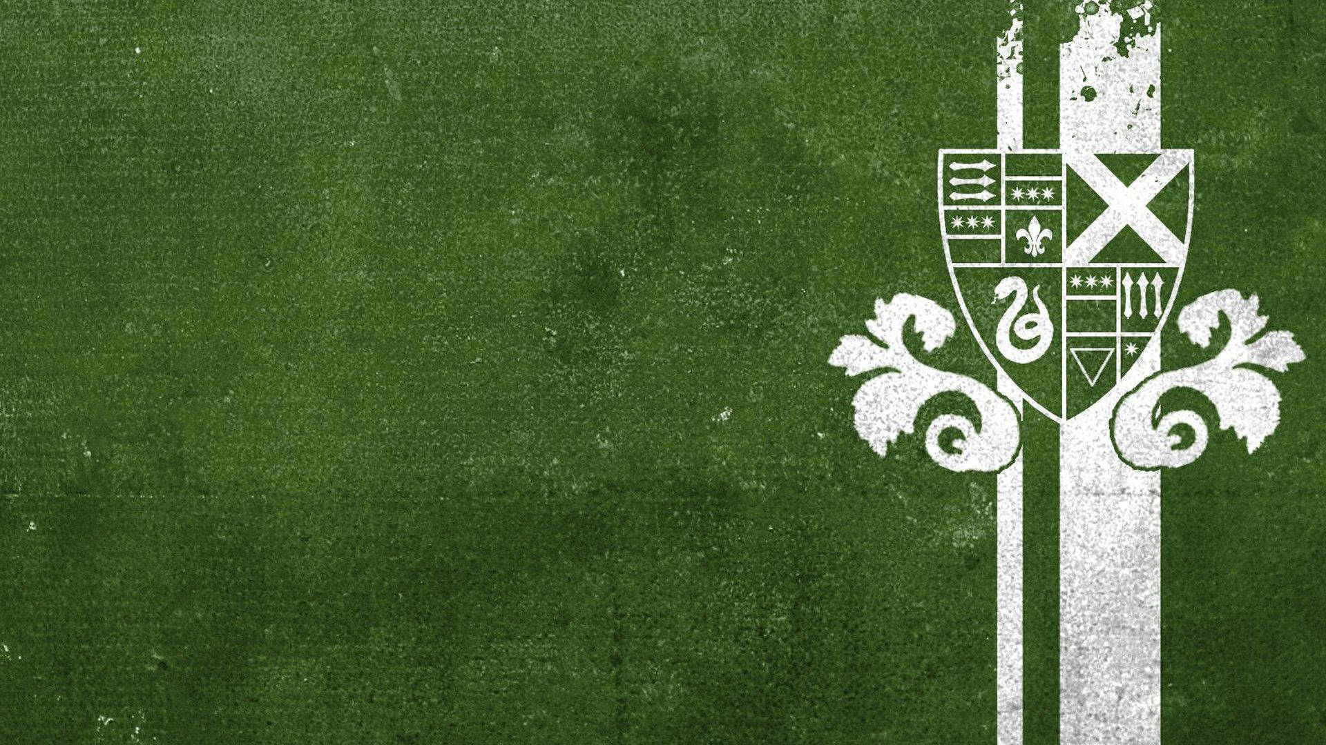 House Slytherin Emblem Harry Potter Desktop Background