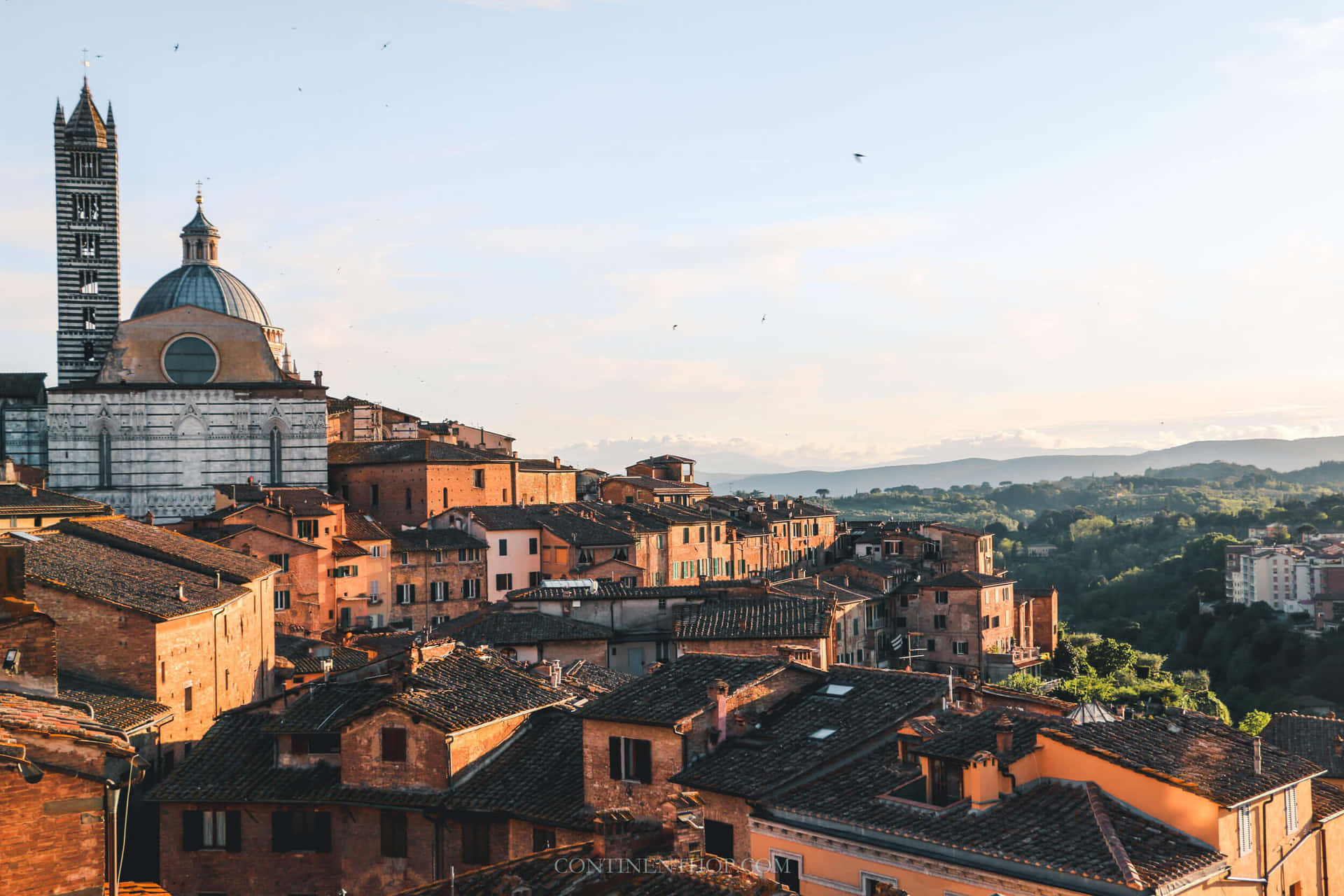 Houses In Siena Italy Background