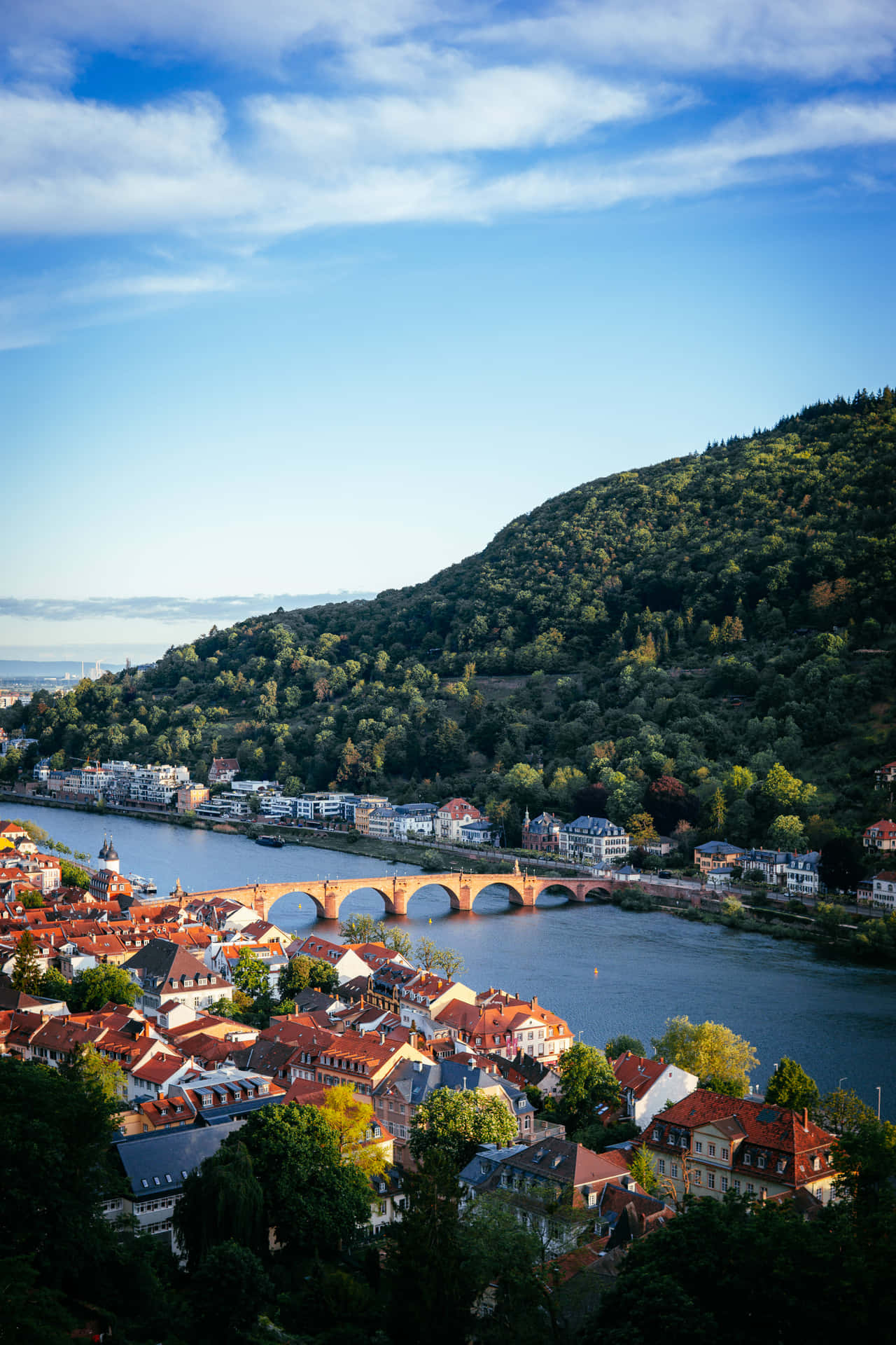 Houses Near Heidelberg Castle