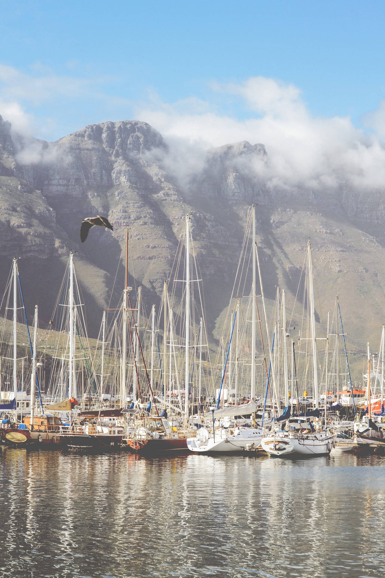 Hout Bay Cape Town Background