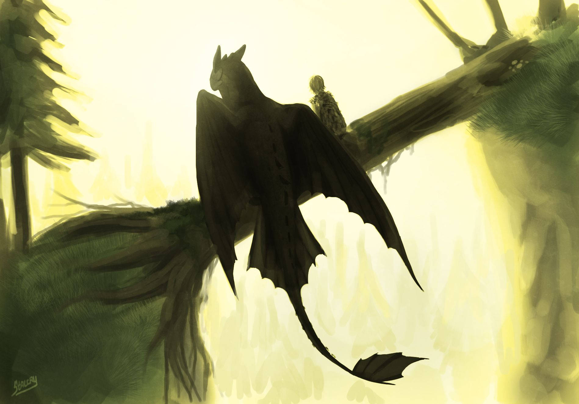 How To Train Your Dragon Graphic Fan Art Background