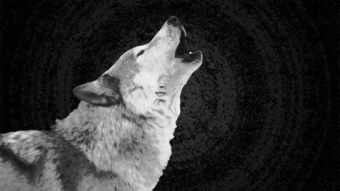 Howling White Wolf