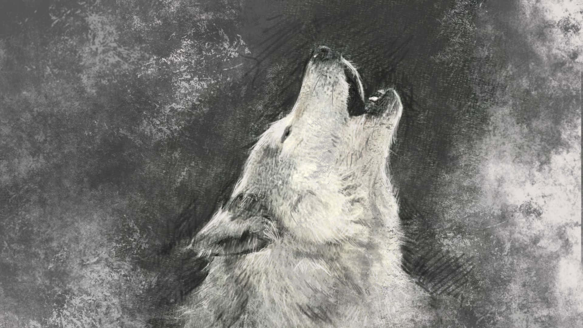 Howling Wolf Charcoal Illustration Background