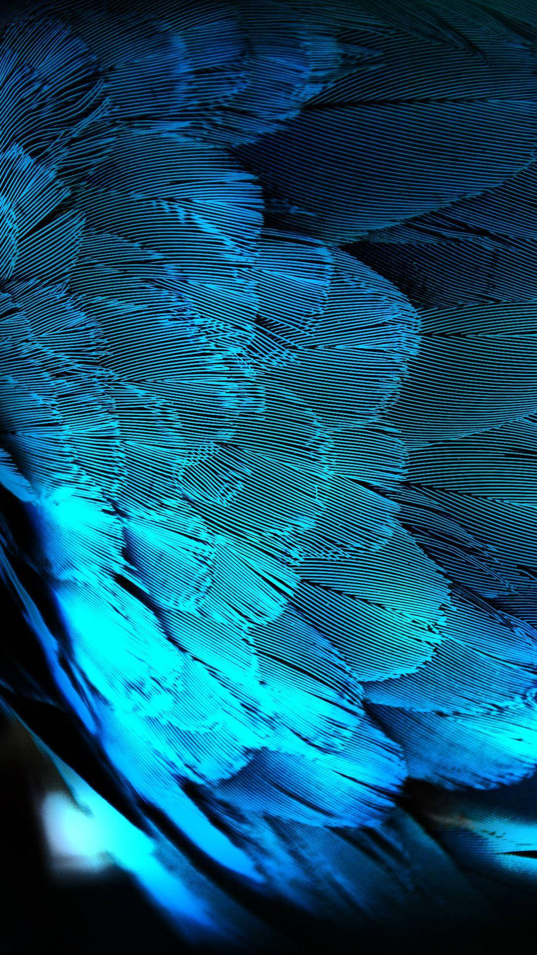 Htc Metallic Blue Feathers Background