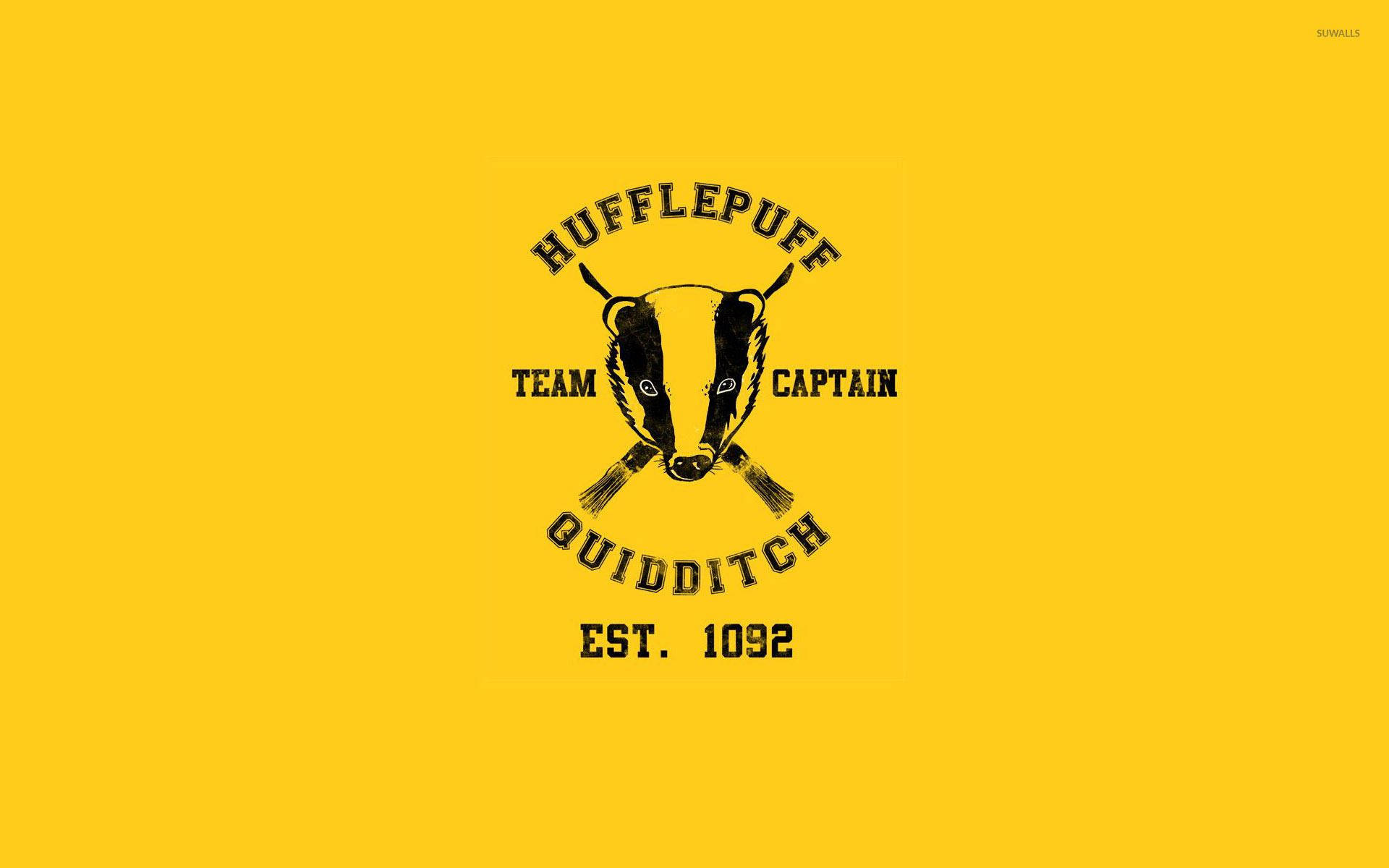 Hufflepuff Quidditch Team Logo Background