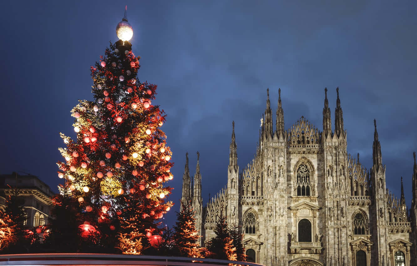 Huge Christmas Tree In Milan Cathedral