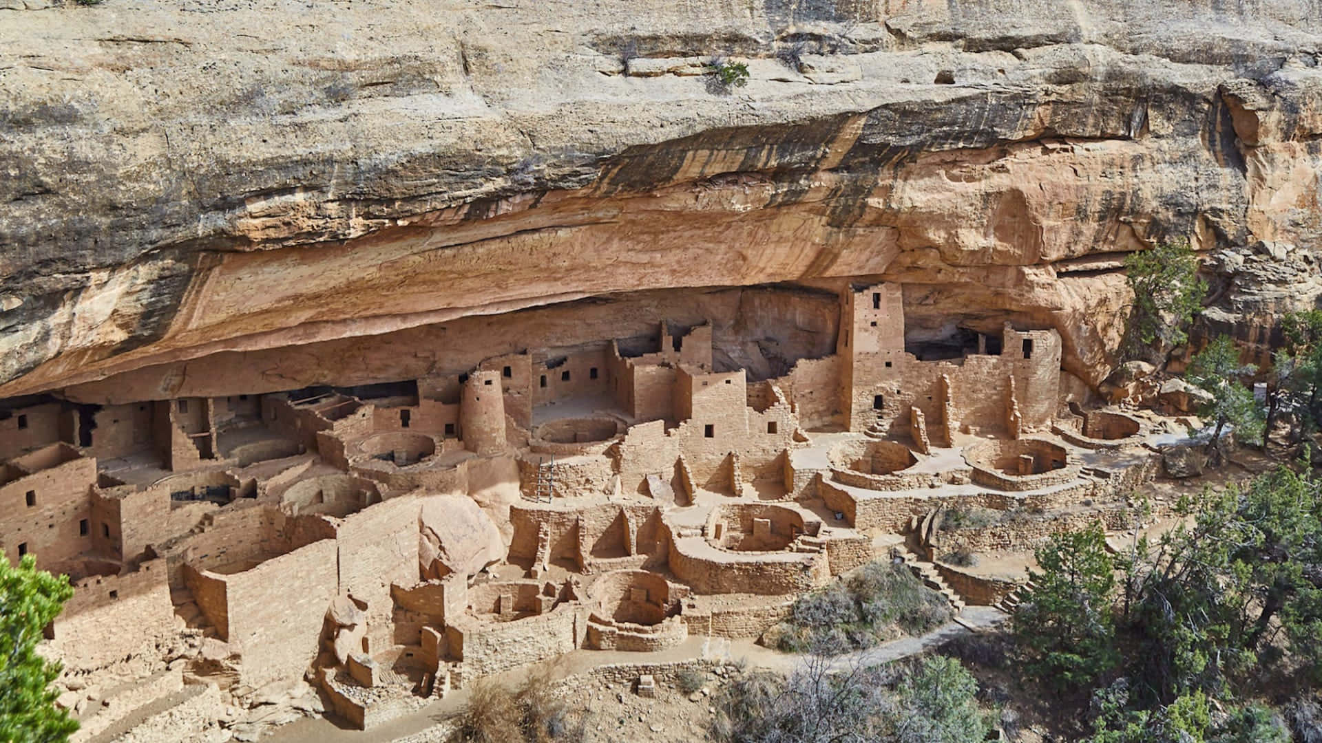 Huge Cliff Palace Mesa Verde National Park Background
