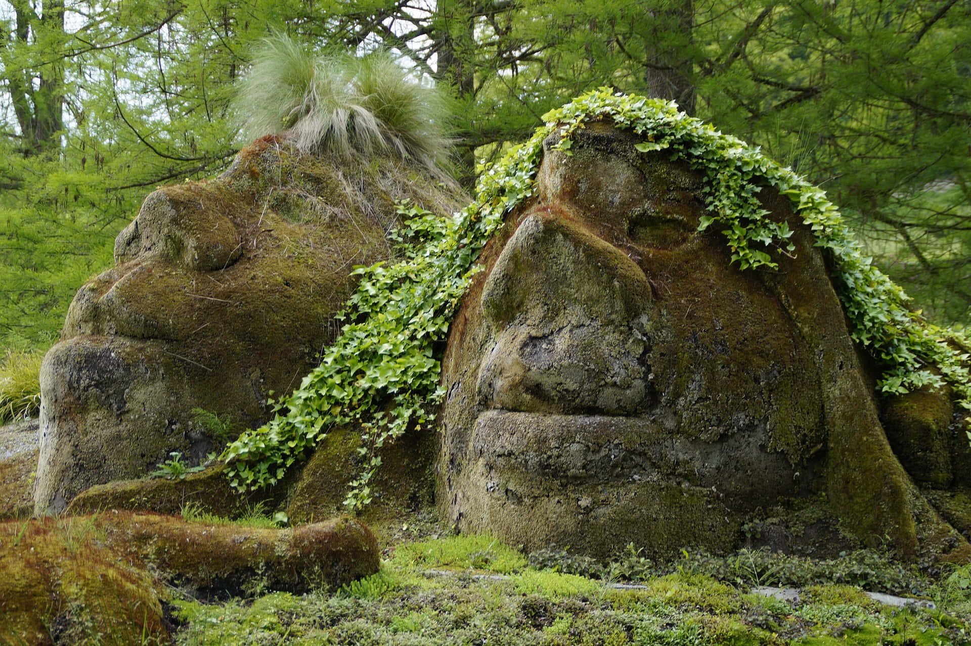 Huge Face Stones Background