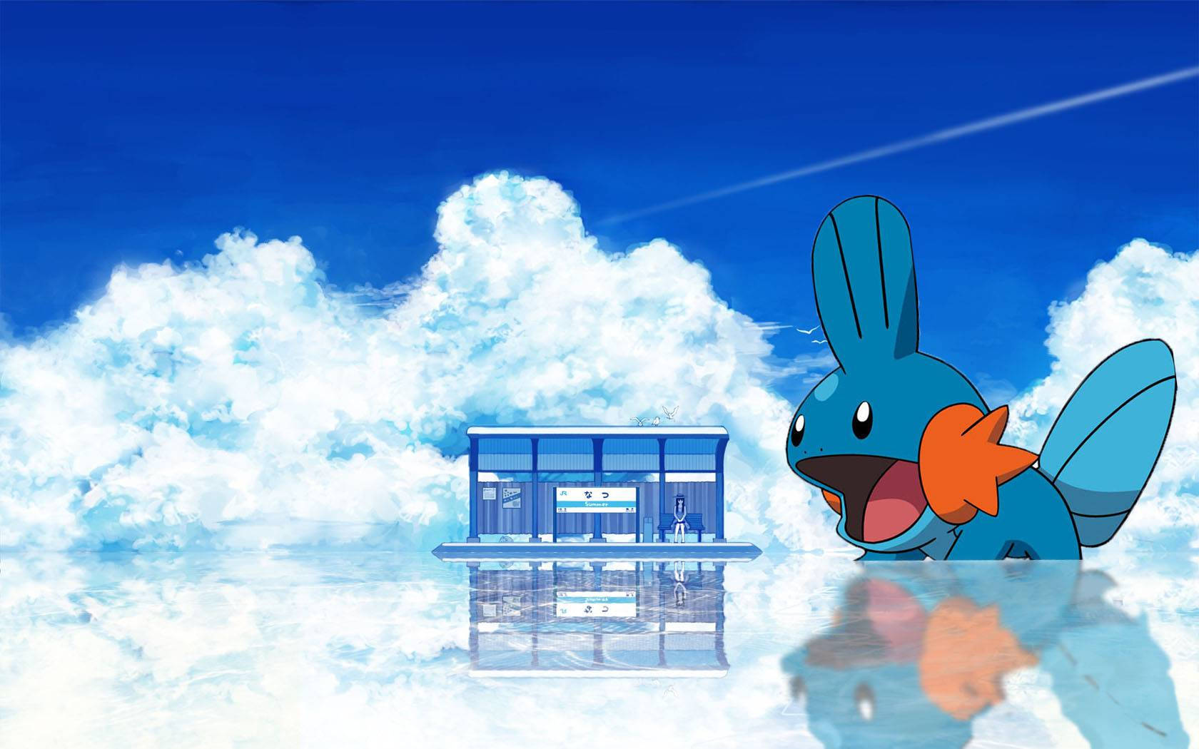 Huge Photo Of Mudkip Background