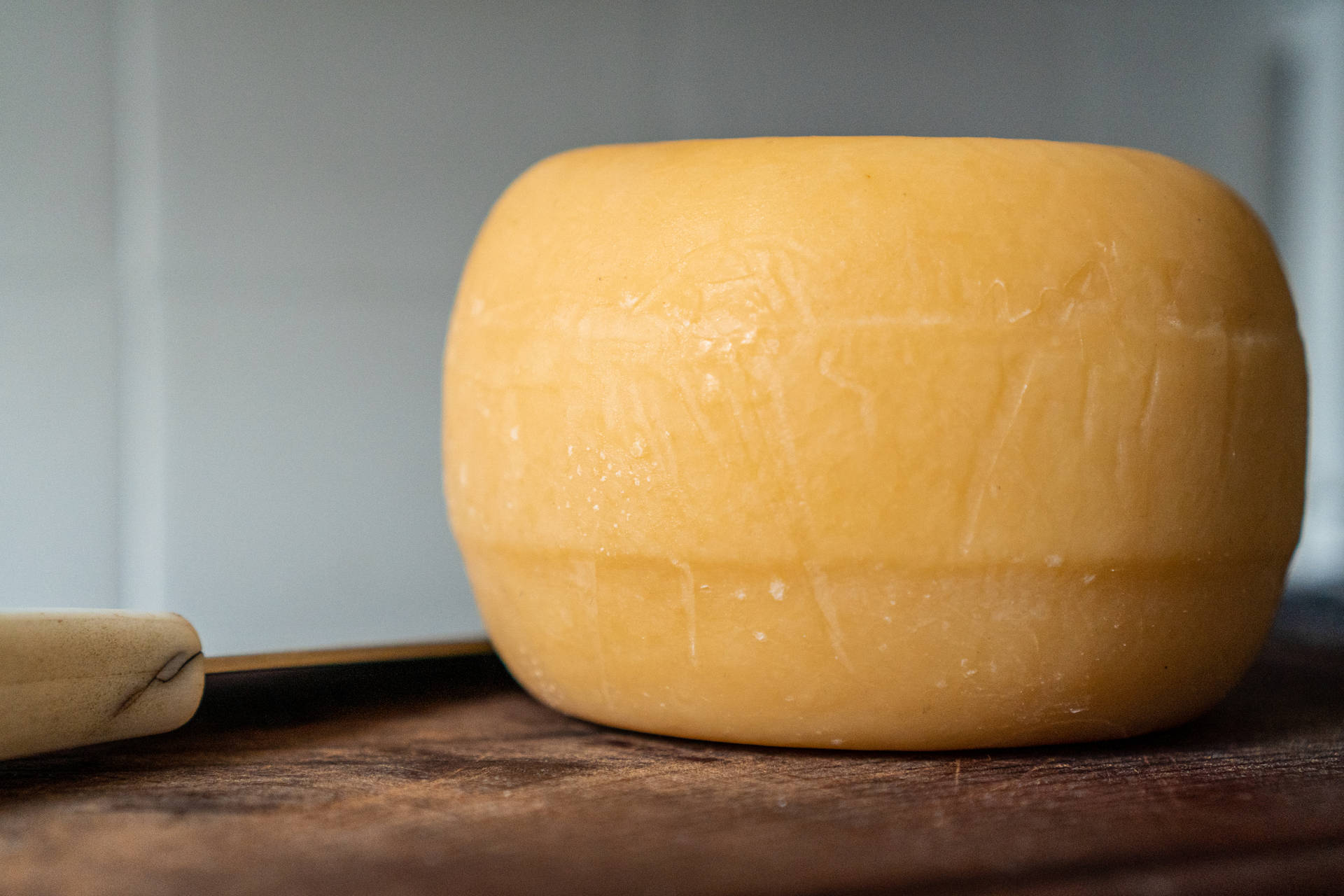 Huge Round Cheese Background