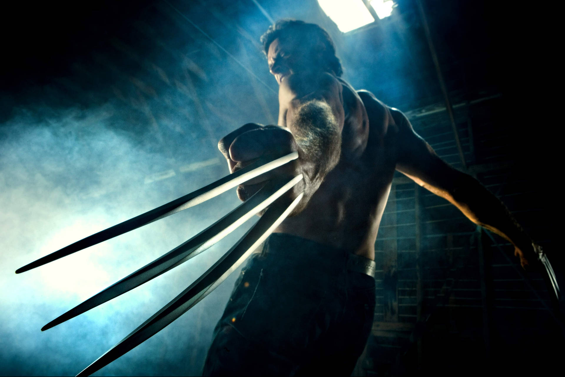 Hugh Jackman Wolverine Back View Background
