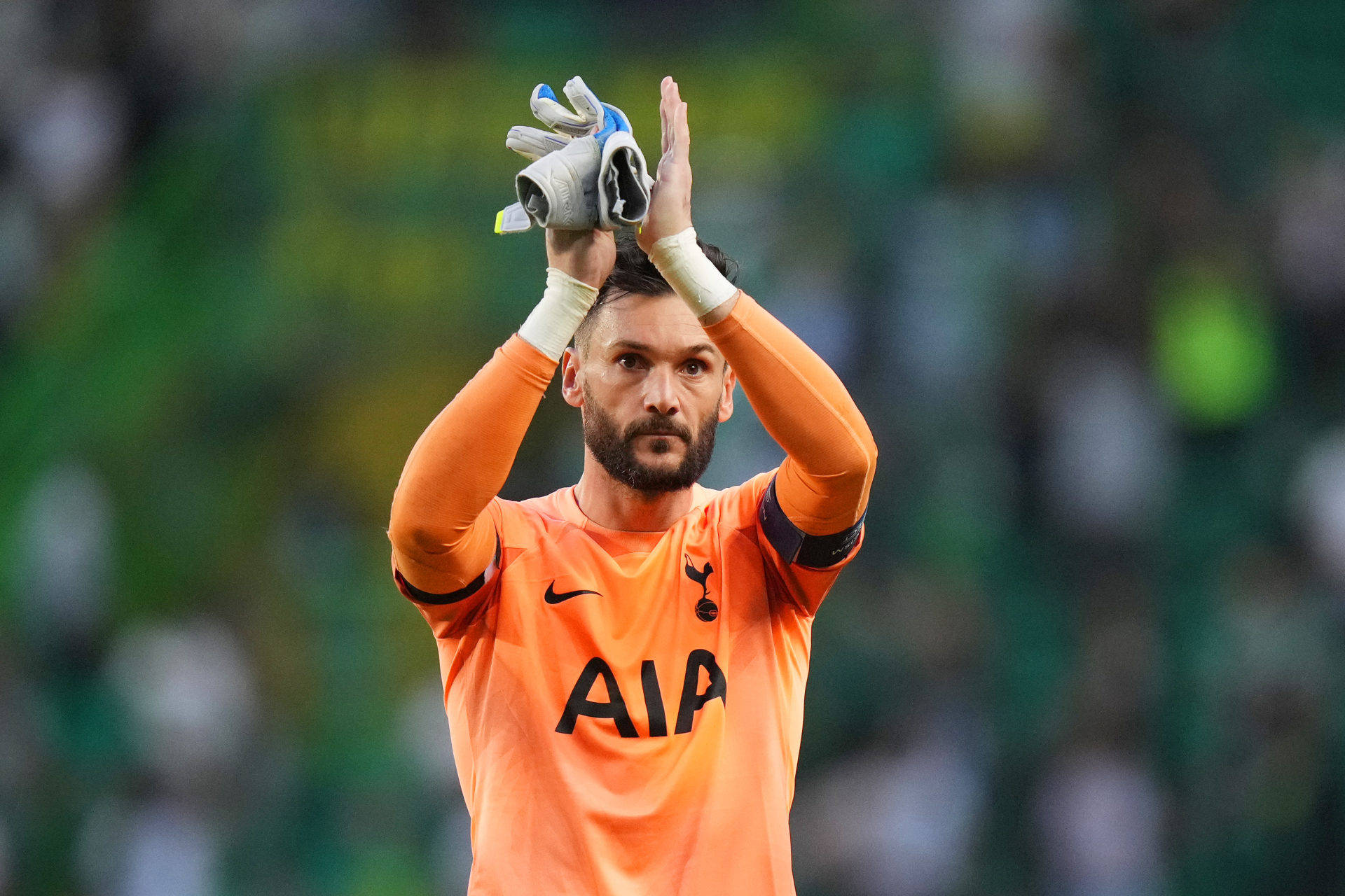 Hugo Lloris Hands Up