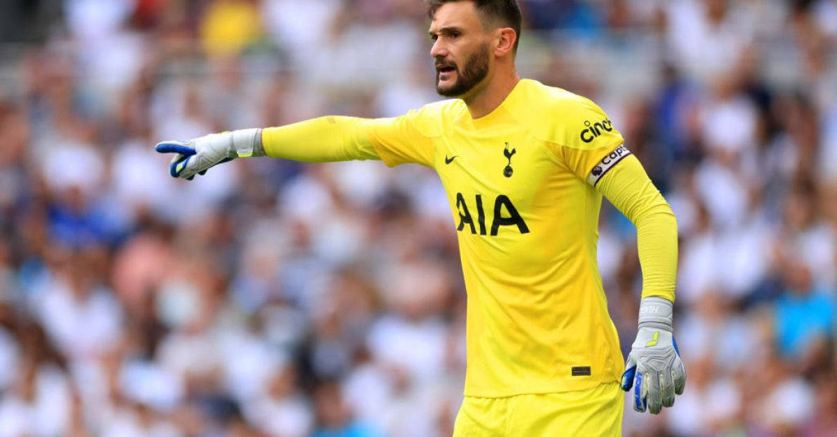 Hugo Lloris Pointing Out Background