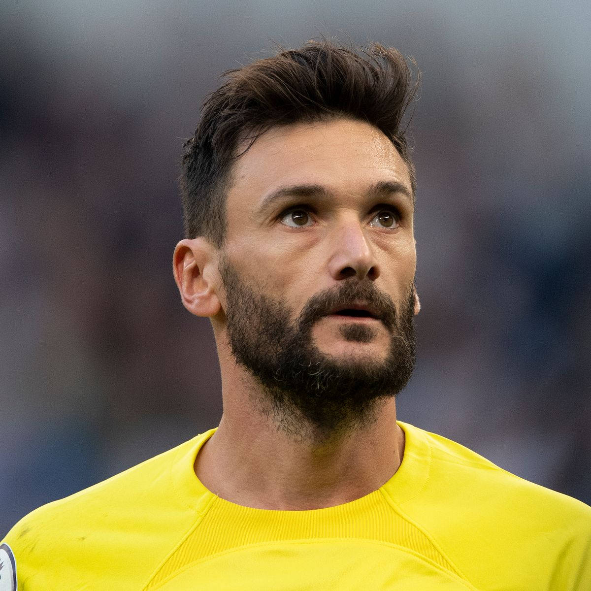 Hugo Lloris Portrait Background