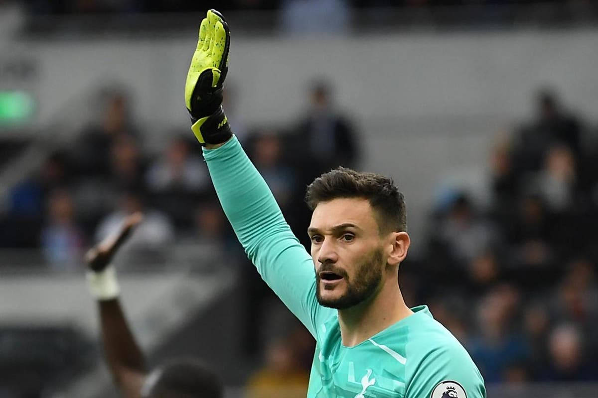 Hugo Lloris Single Hand Up