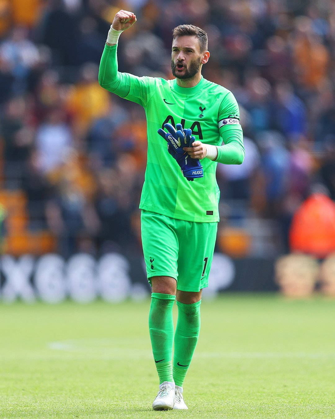 Hugo Lloris Small Cheer