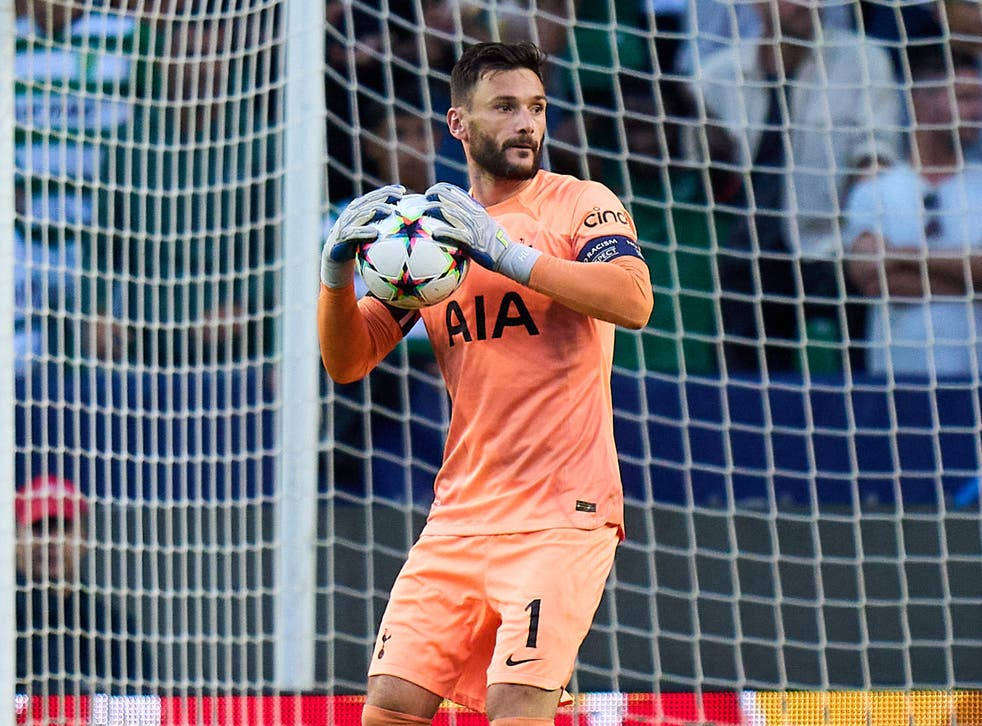 Hugo Lloris Throwing Stance Background