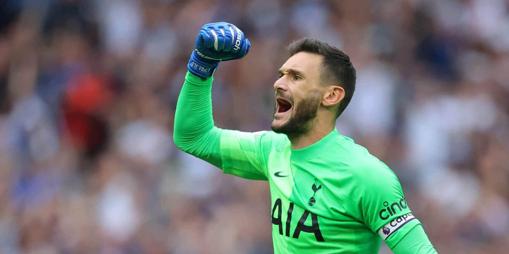 Hugo Lloris Yell And Celebrate