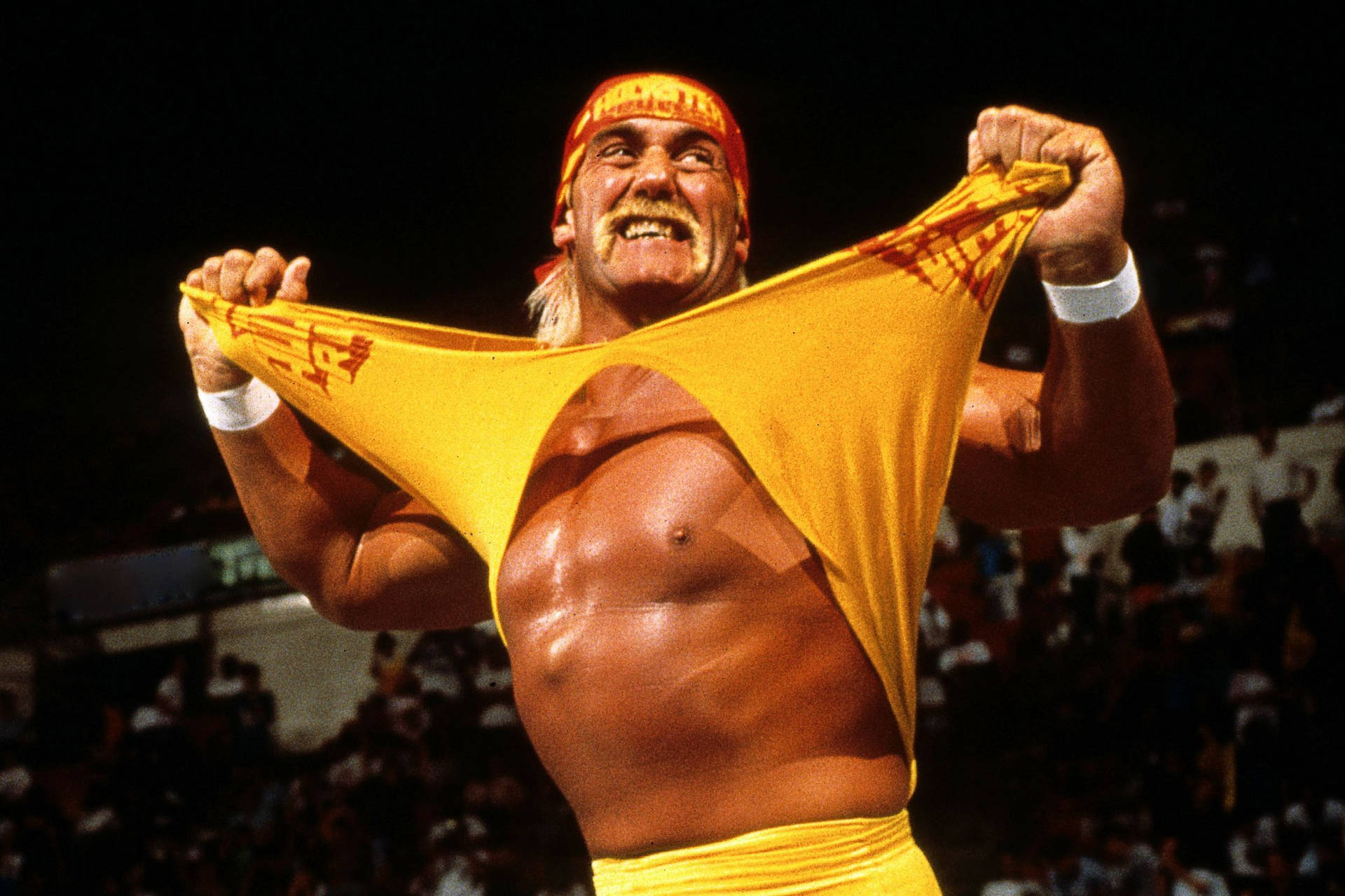 Hulk Hogan Iconic Shirt Reaping Background
