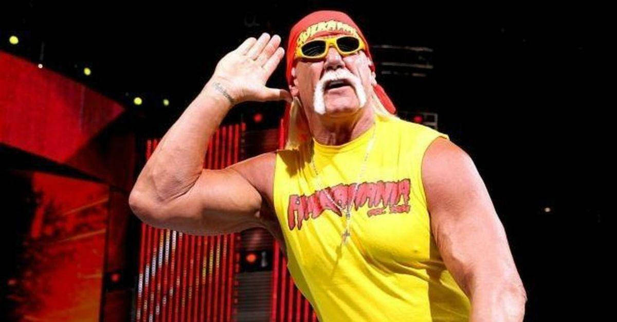 Hulk Hogan Professional Wrestler Background