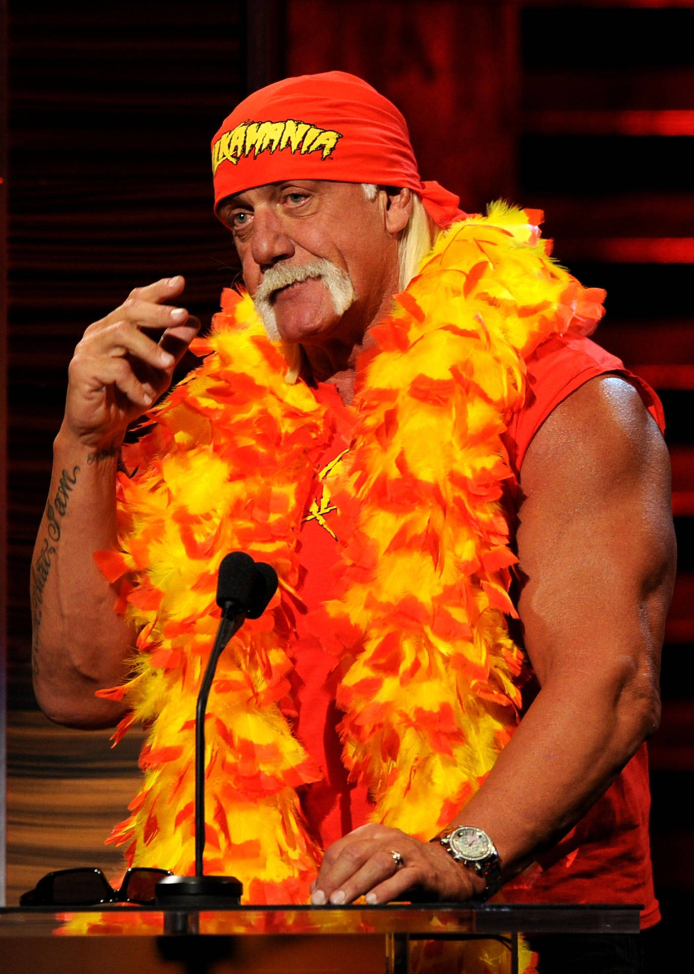 Hulk Hogan With Feather Boa Background