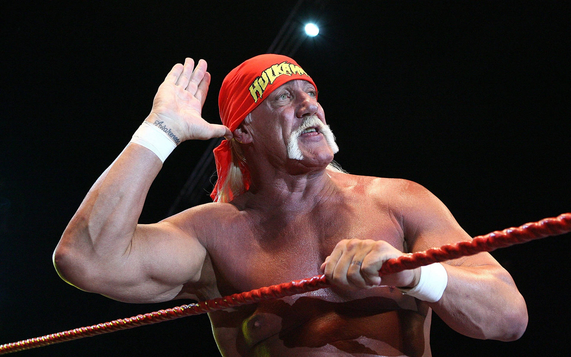 Hulk Hogan Wrestling Legend Background