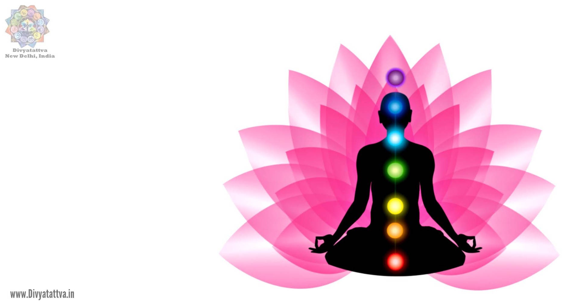 Human Art Chakra Pink Design Background