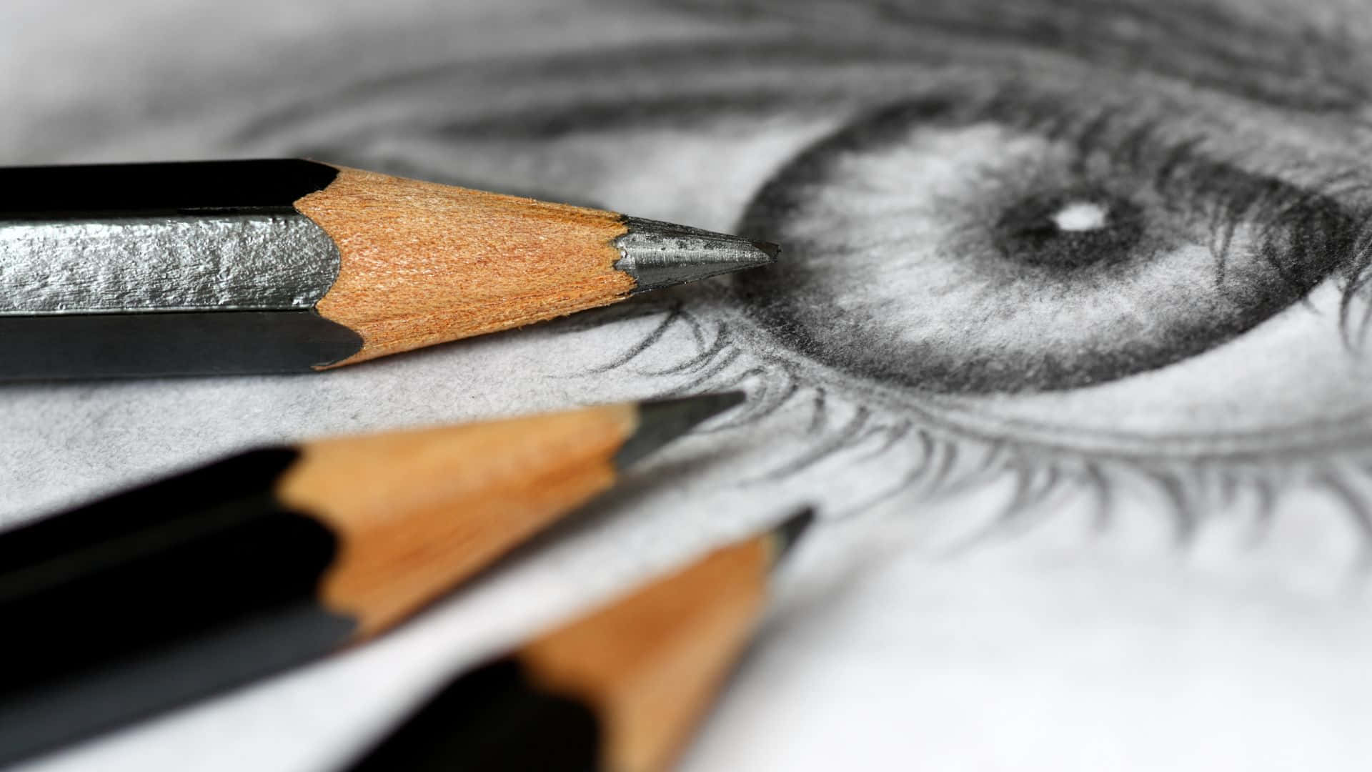 Human Eye Pencil Sketch Illustration