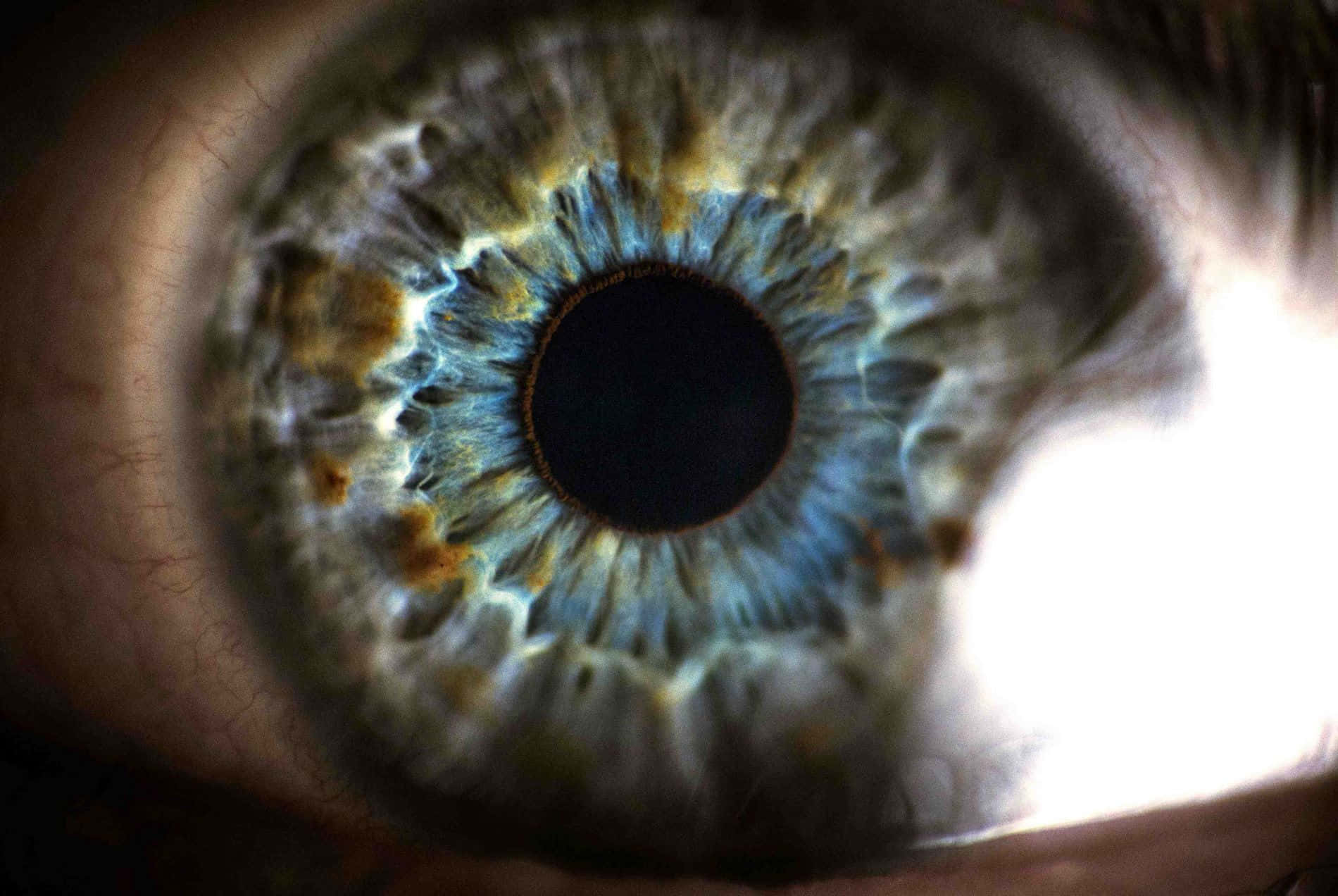 Human Eye Ultimate Closeup