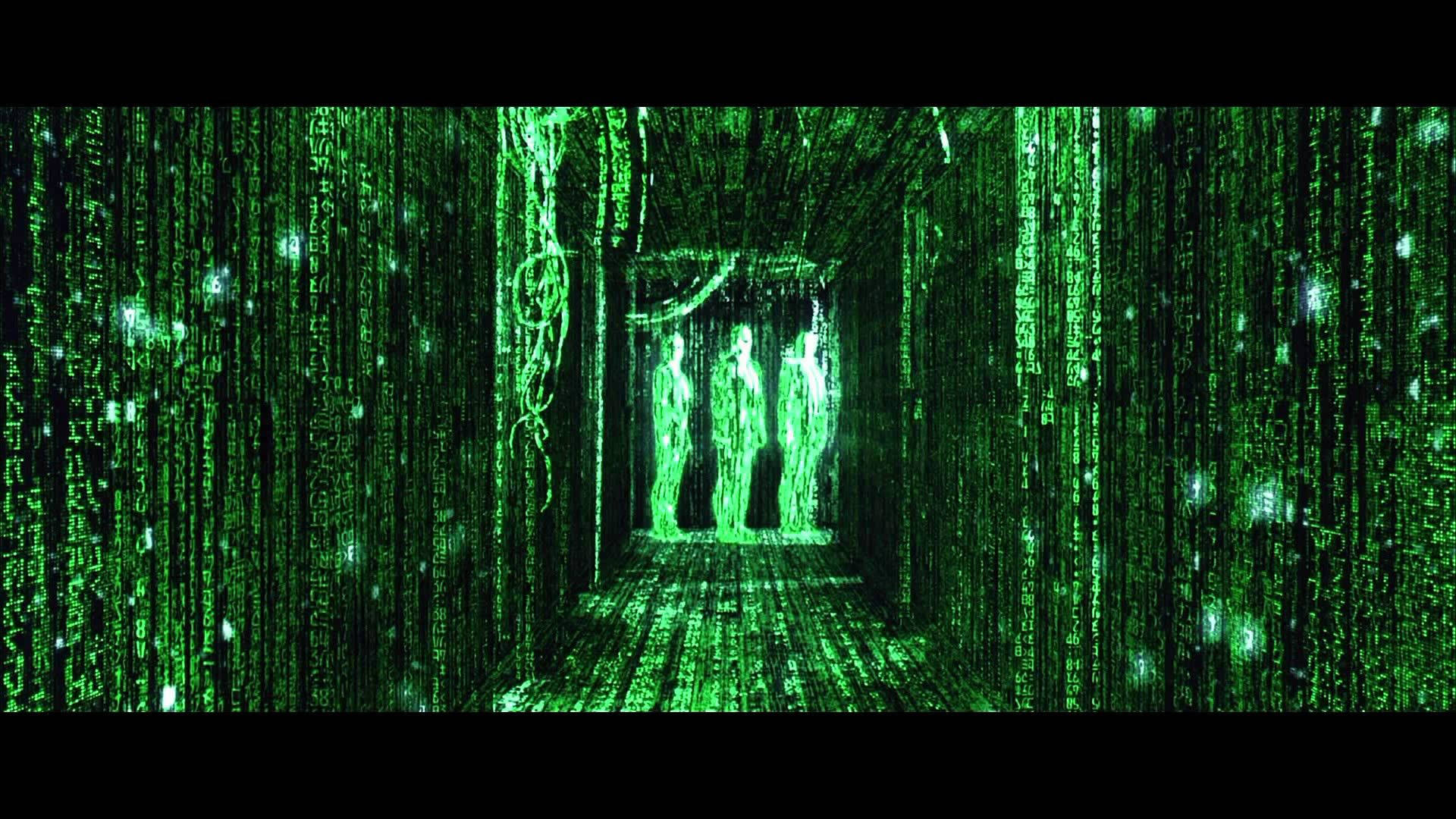 Human Holos In Green Matrix Hallway Background