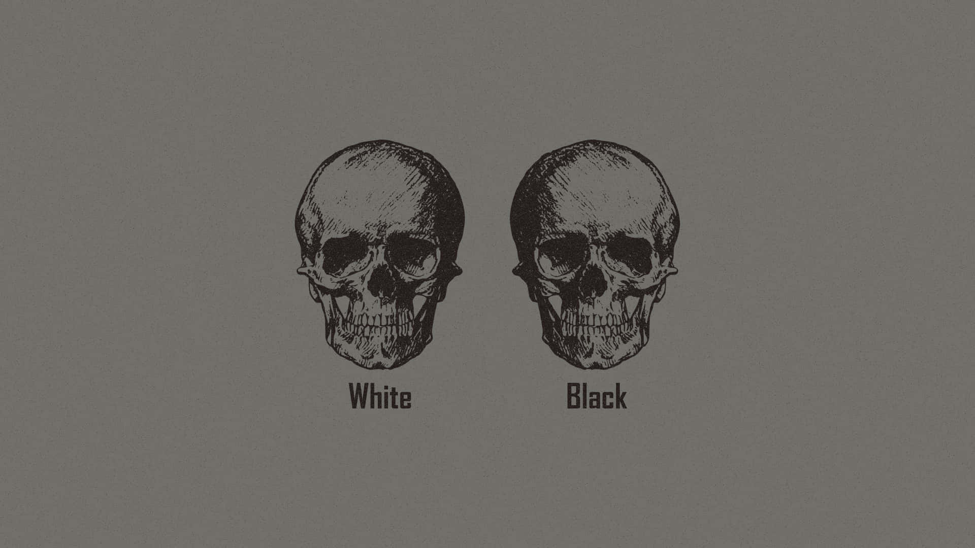 Human Skulls Depicting Anti-racism