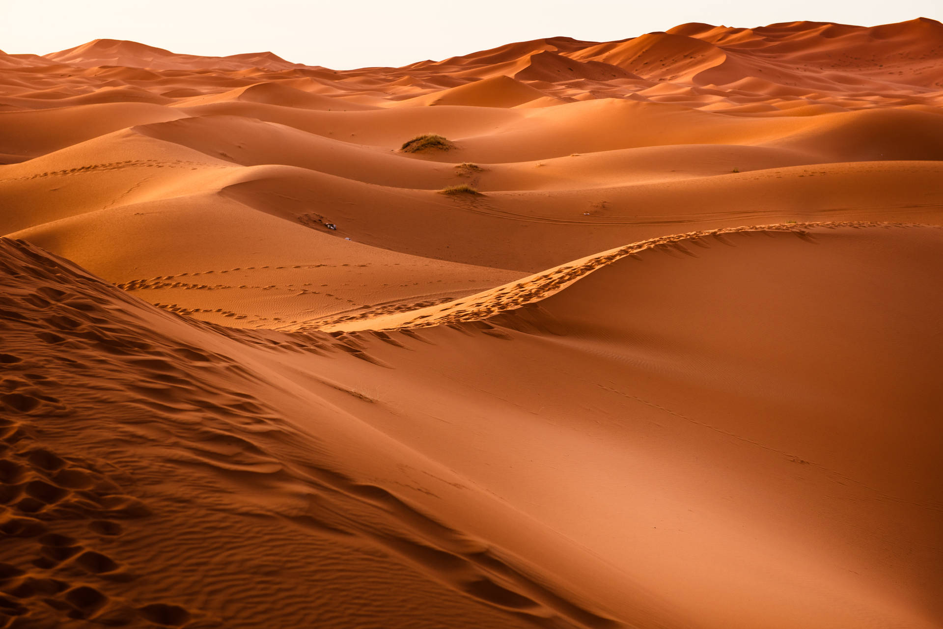 Human Tracks In Desert Background
