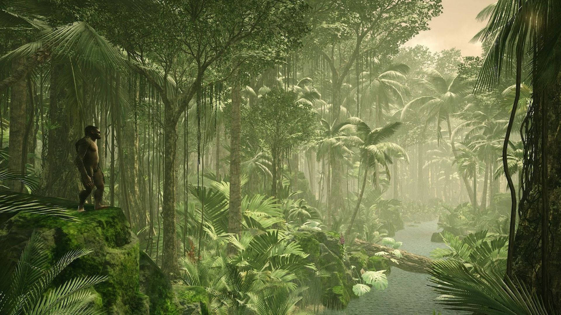 Humankind Game Rainforest Background