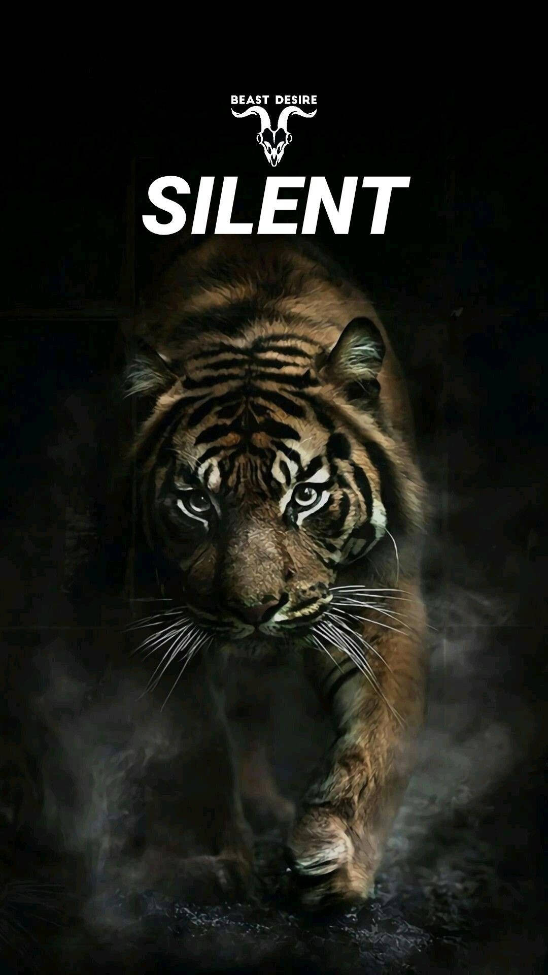 Humble And Silent Tiger