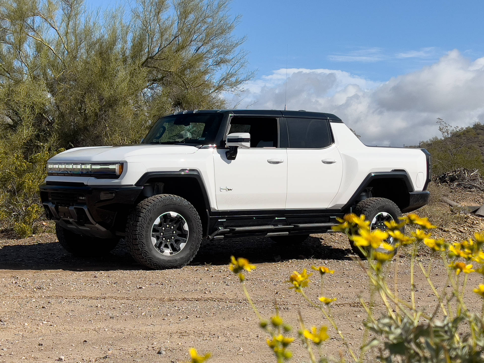 Hummer With Nature Background