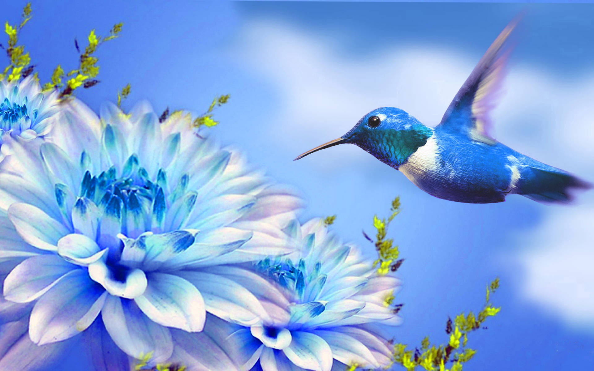 Hummingbird And Flower Digital Art Background