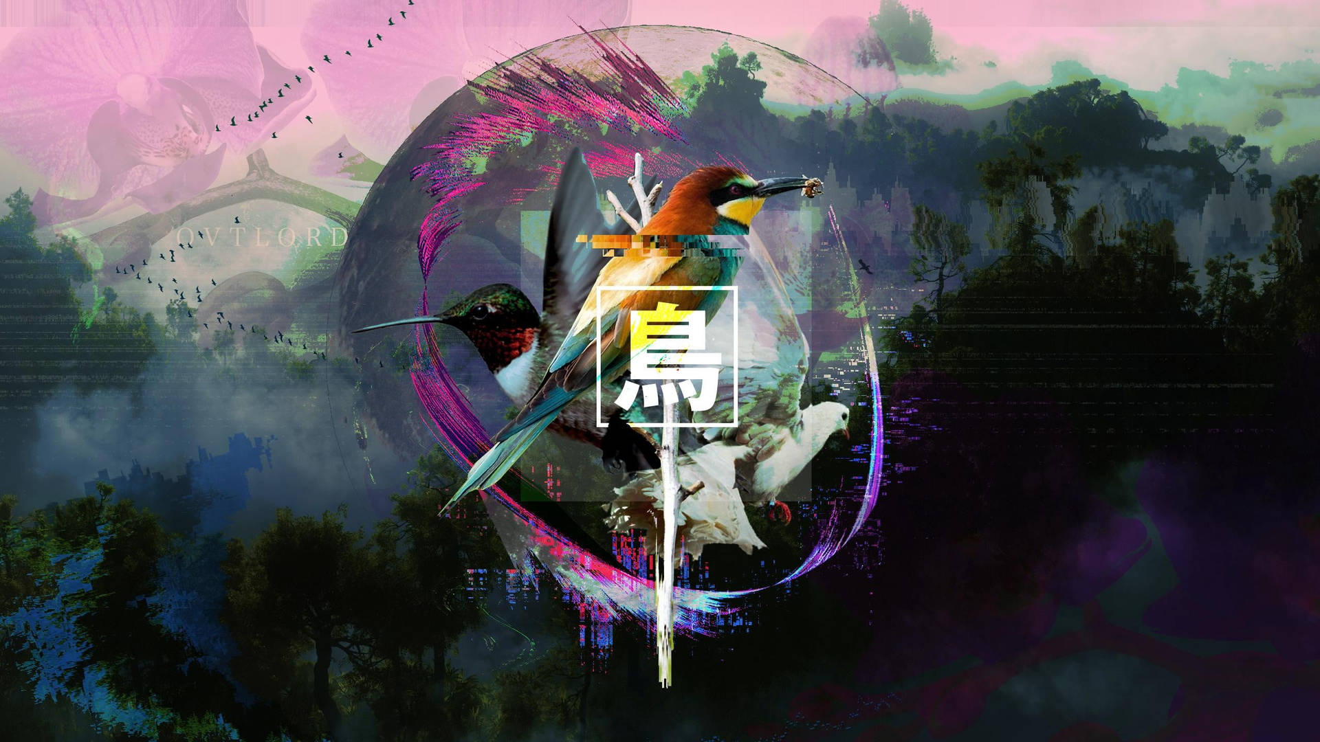 Hummingbird Digital Artwork Background