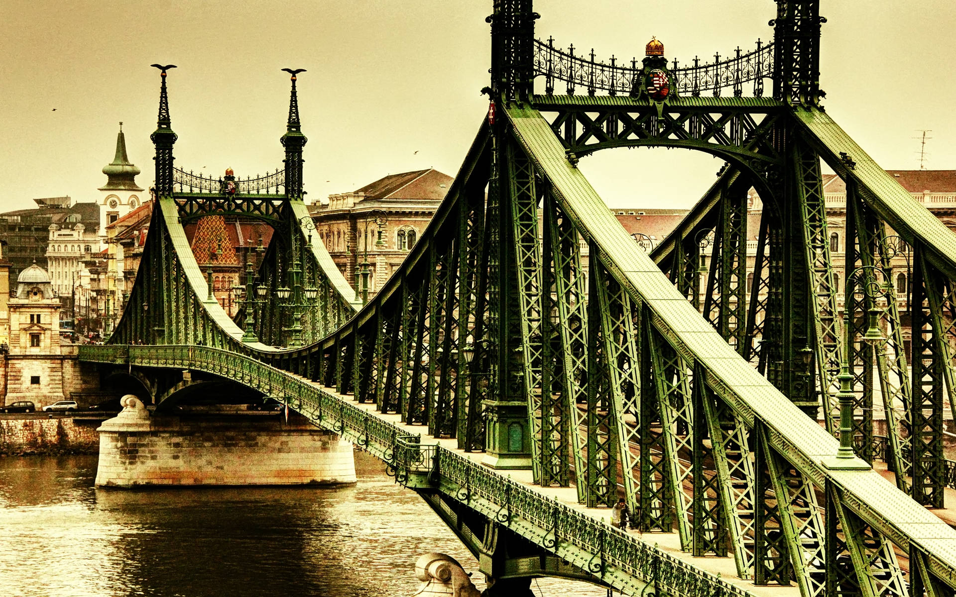 Hungary's Liberty Bridge Background