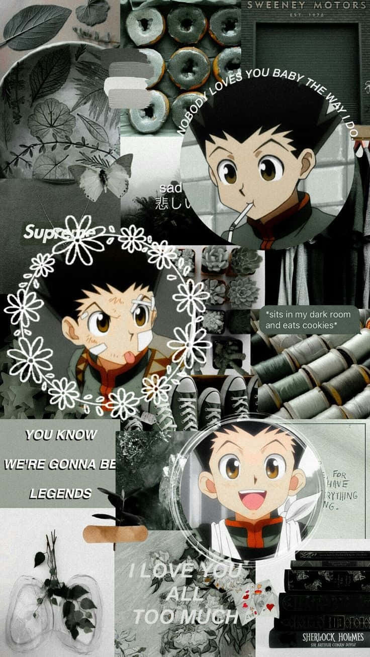 Hunter X Hunter Gon Aesthetic