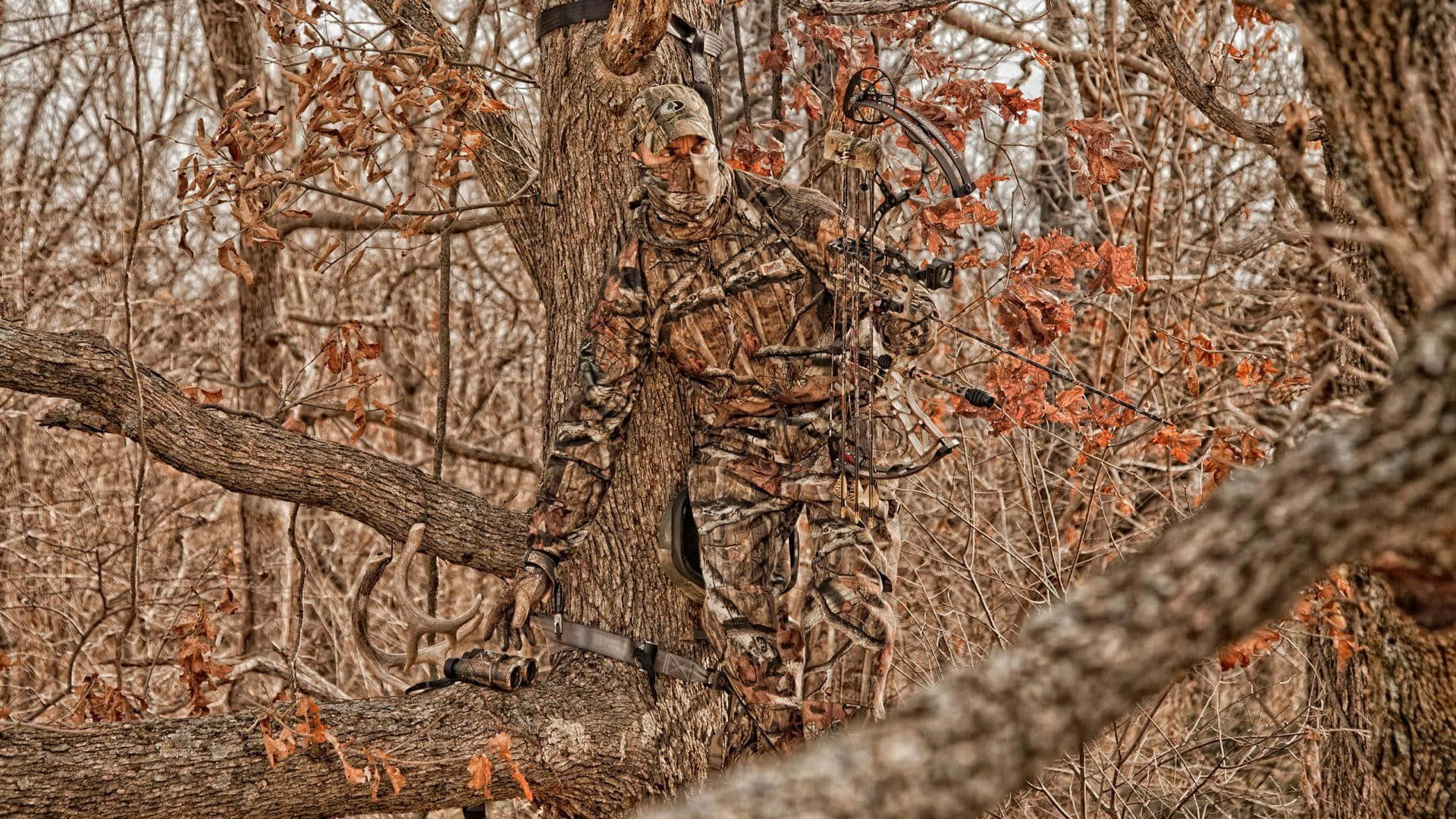 Hunting Camo On The Tree Background