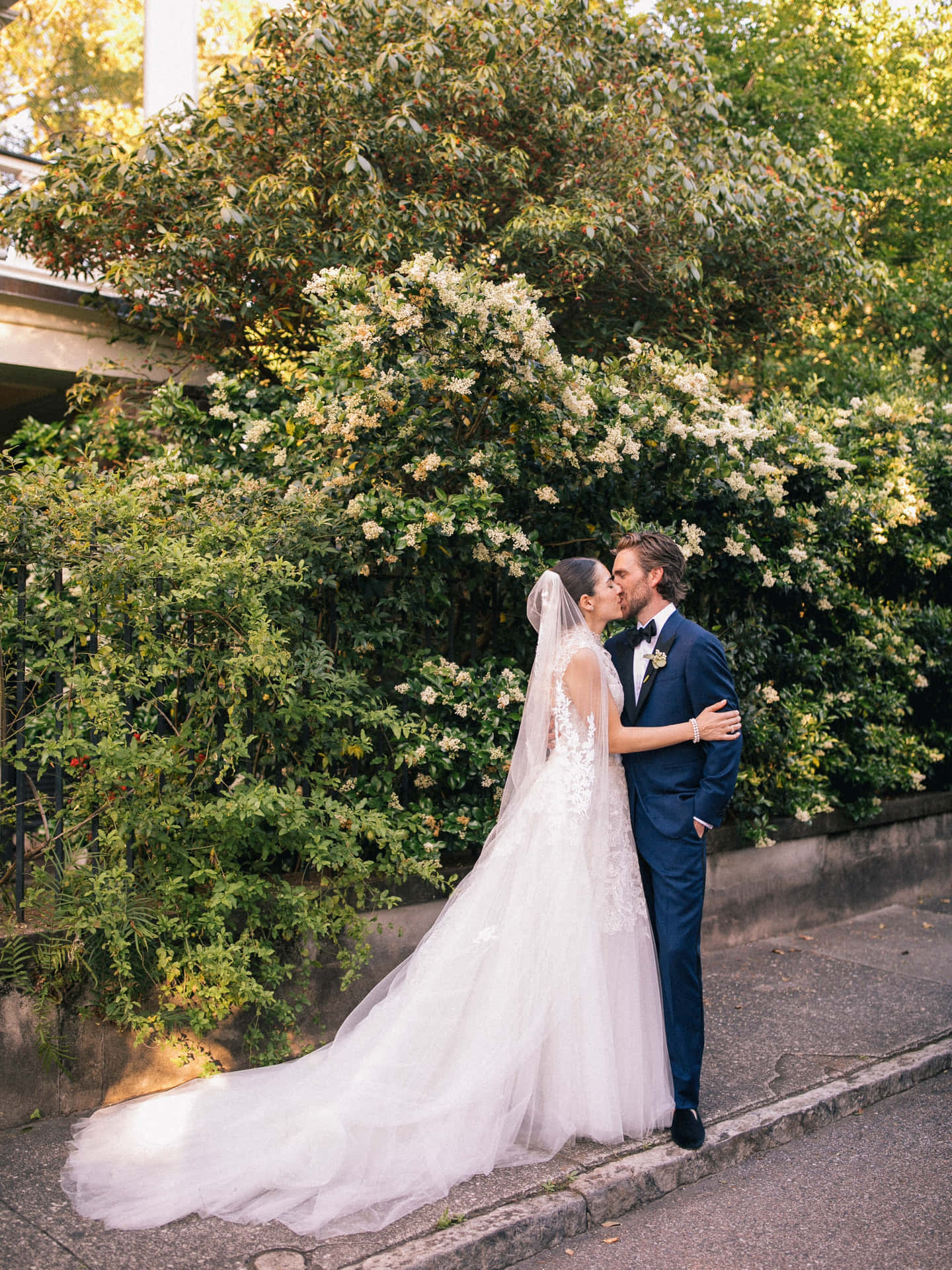 Husband And Wife Kissing By Tree Wedding Background