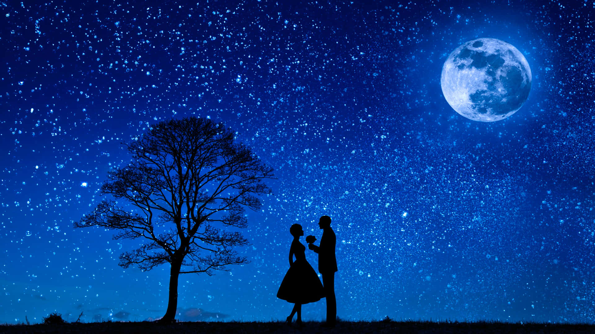 Husband And Wife Under Starry Sky With Moon