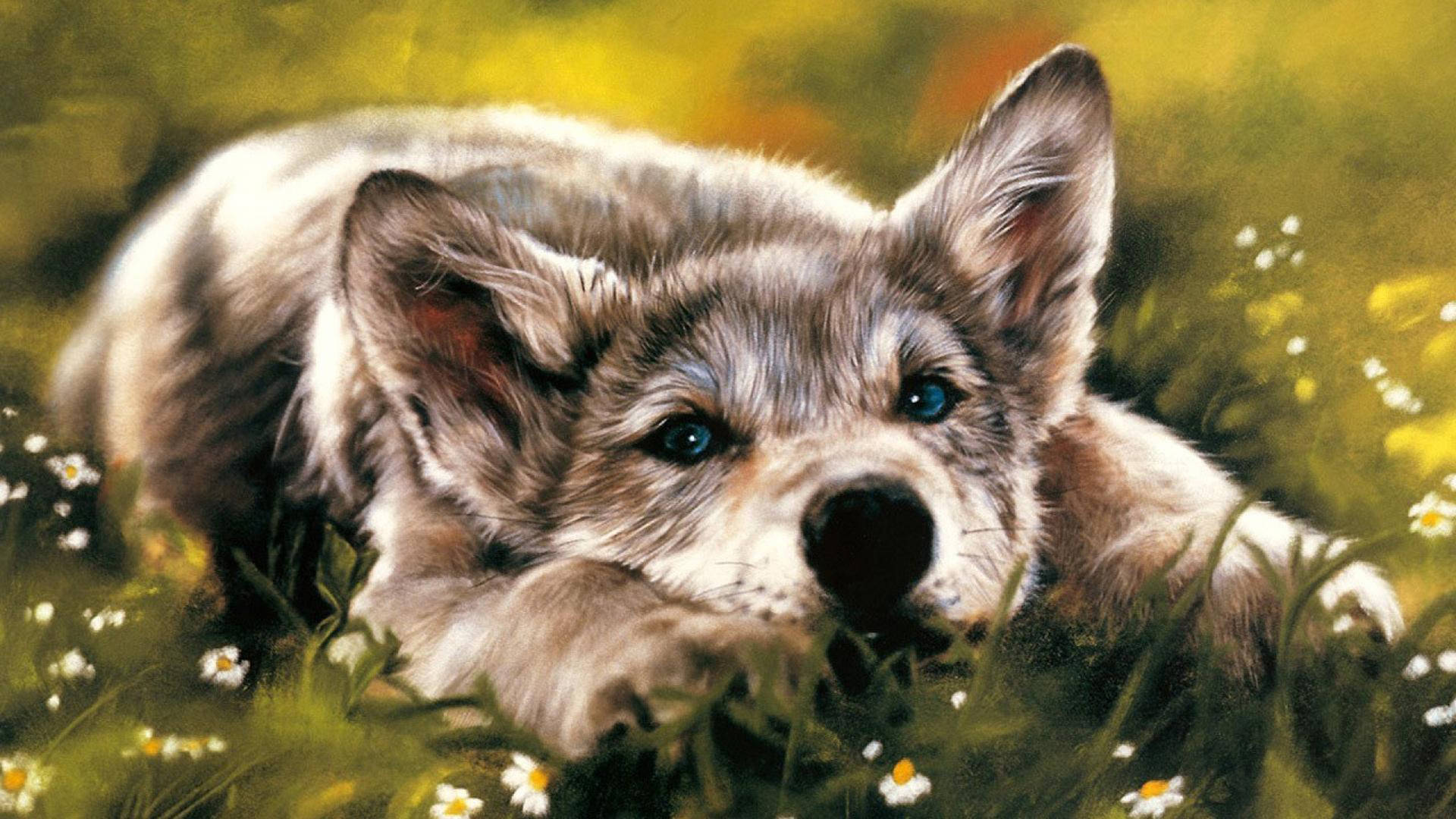 Husky Dog Art Background