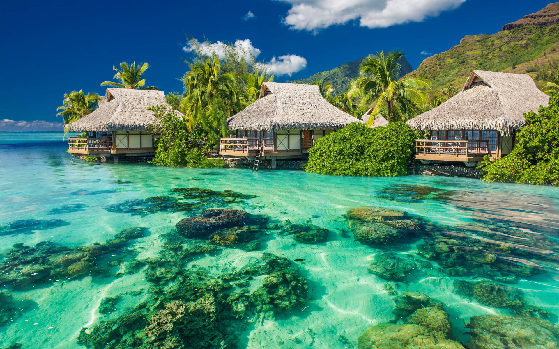 Huts In Tahiti Torpical Desktop Background