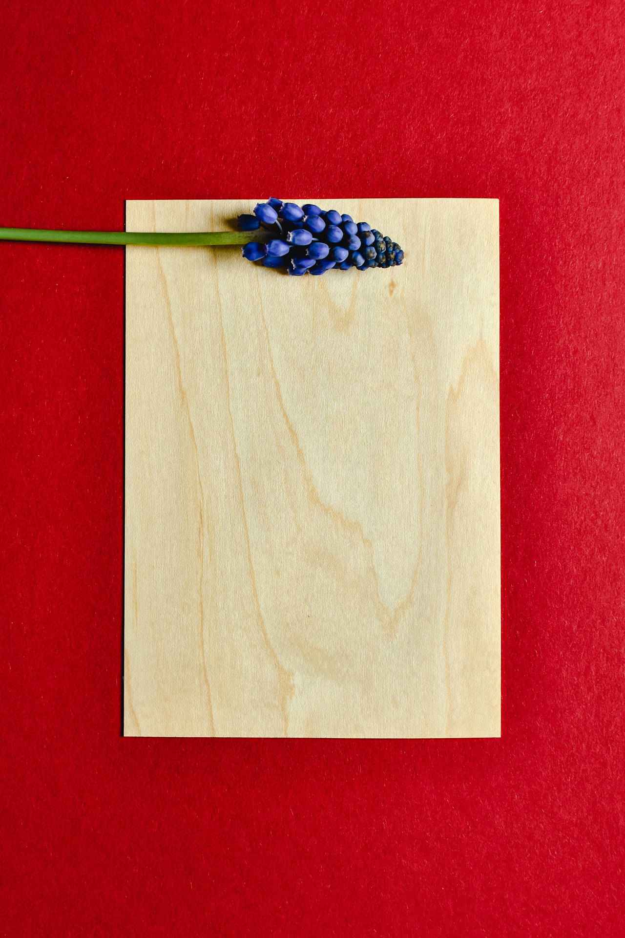 Hyacinth Flower Wooden Board Background
