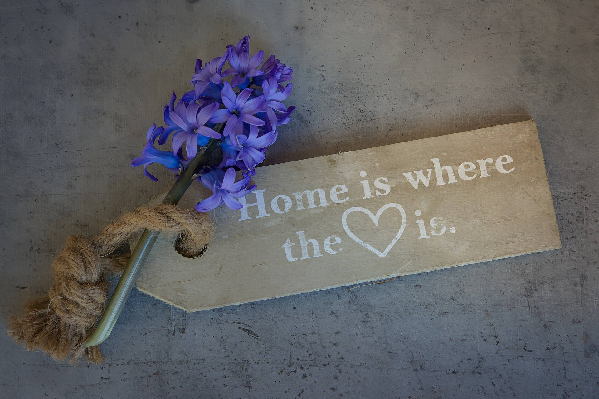 Hyacinth Home Plaque Background